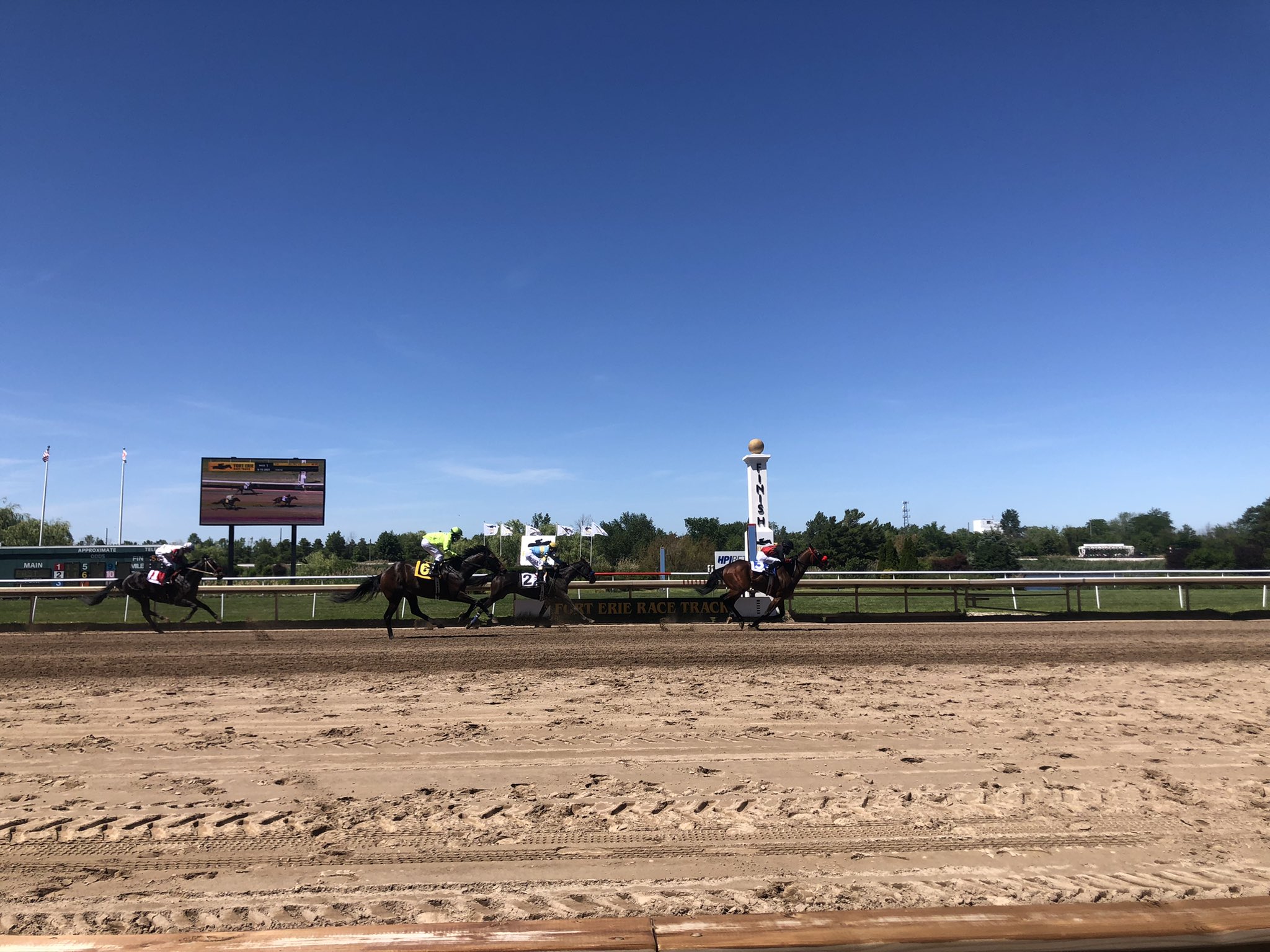 Caymanas Race Track Live - o8cshtk