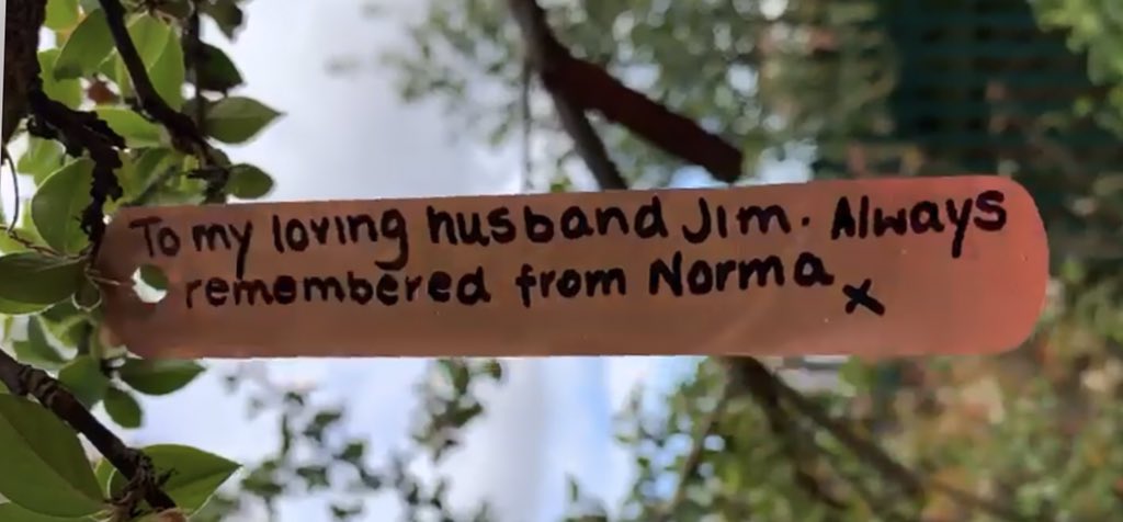On the 21st June each year we remember all those who died in the Troubles on a Day of Reflection. In WAVE Belfast there will be an open house on Sunday from 2-5pm when individuals, families &amp; friends can call to put remembrance tags on the trees. You will be so welcome.