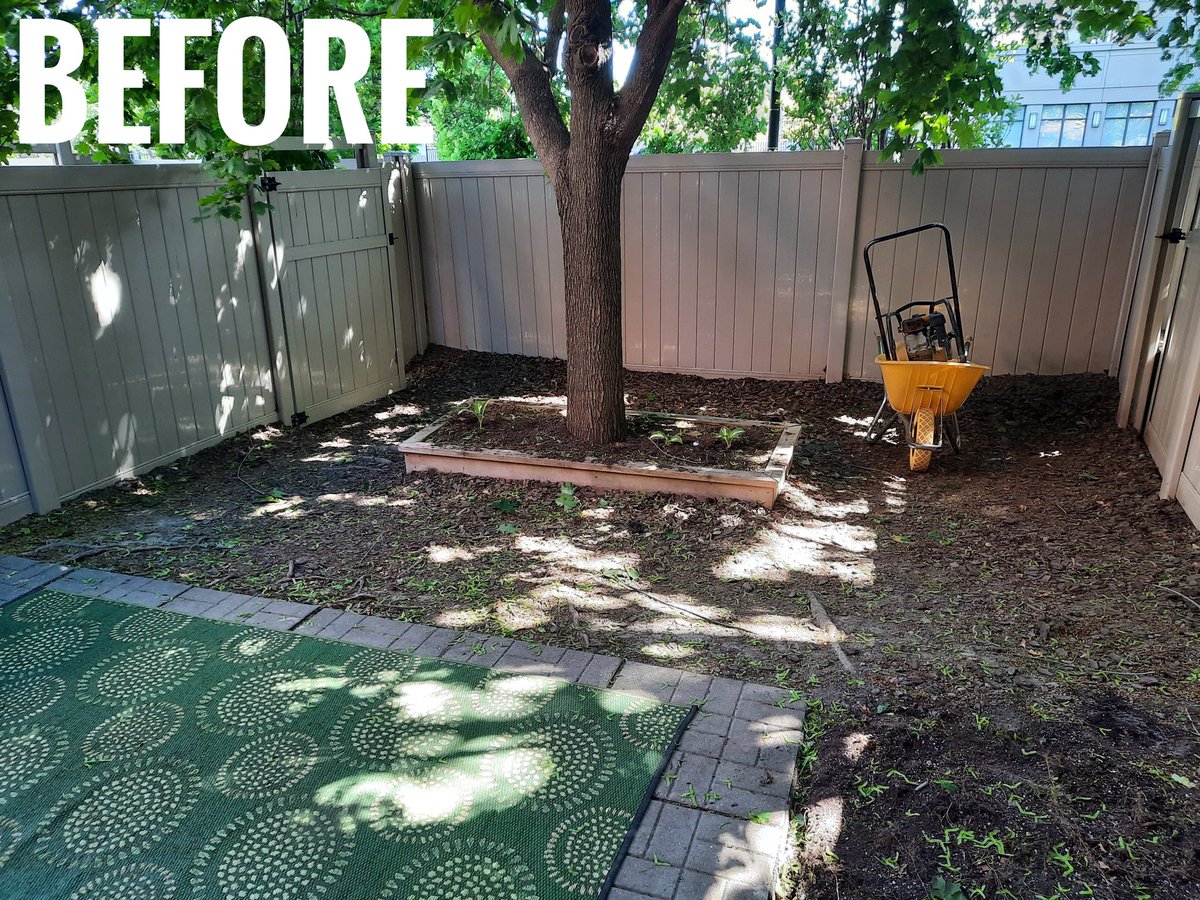 DesignTurf's tweet photo. An amazing before and after! What a difference turf has made in this space π
#transformationtuesday #turf #artificialturf #artificialgrass #lowmaintenance #petfriendly #lifestyle #callforaquote #gta #ontario #envirofill #progreen #progreencanada #designturf https://t.co/CRo1tJFAwp