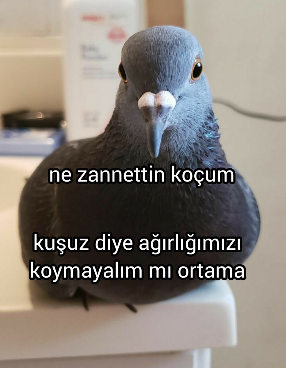 bresusak123's tweet photo. @ladyclownn_ Exo sen hayirdir https://t.co/HFJfuKUp5Y