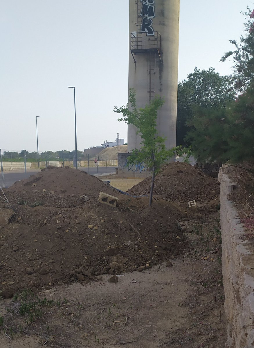 velmorsa's tweet photo. ¿La protección del arbolado para otro día? @emasesa @alcaladelrio @salvatusarboles @VerdesEquo_AdR @VerdesEquo_sev Av. De los Marineros en #AlcaládelRío https://t.co/dr23hy6keT