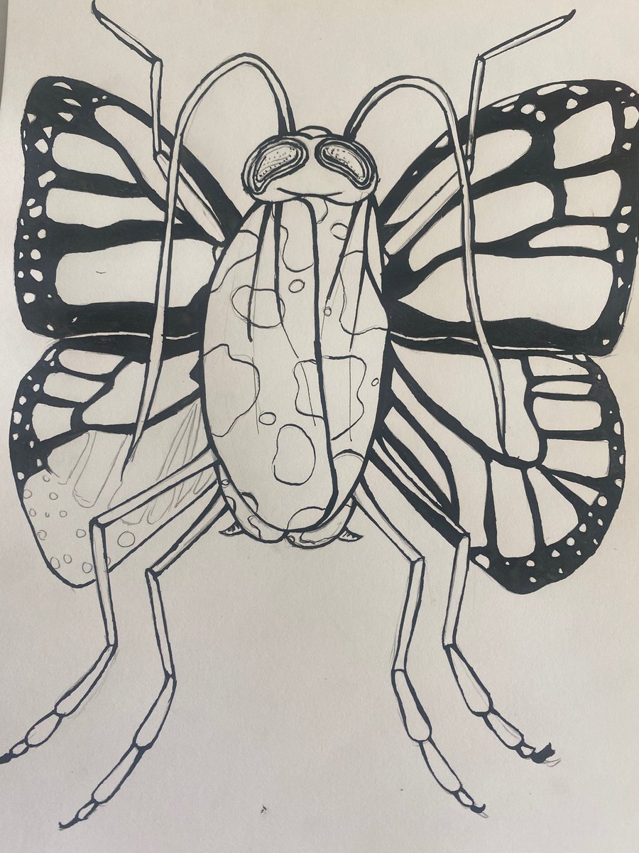 Chcsartdept's tweet photo. Hybrid insect drawings inspired by Jess Albert π¦πππ¦ππ Very impressed so far year 9, looking forward to seeing them in colour! #insect #chcsart #fantasticbeasts #ks3art #insectdrawings #dippendrawing https://t.co/kbyOZgKal1