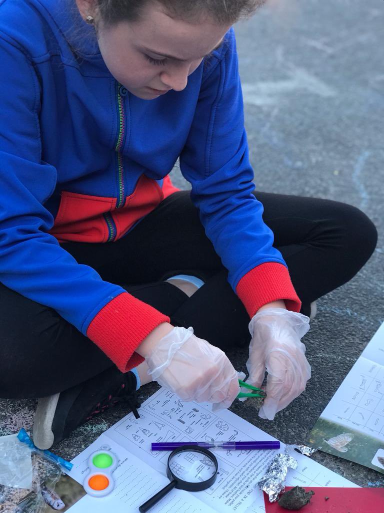 Guides became pellet detectives tonight! Six skulls we found! <a href="/suffolkowls/">Suffolk Owls</a> <a href="/Girlguiding_NWE/">Girlguiding North West England</a> @girlguiding <a href="/MerseysideGG/">Girlguiding Merseyside</a> <a href="/GuidingMembers/">Girlguiding For Members</a> #stem #guides #girlguiding #merseysidemagic