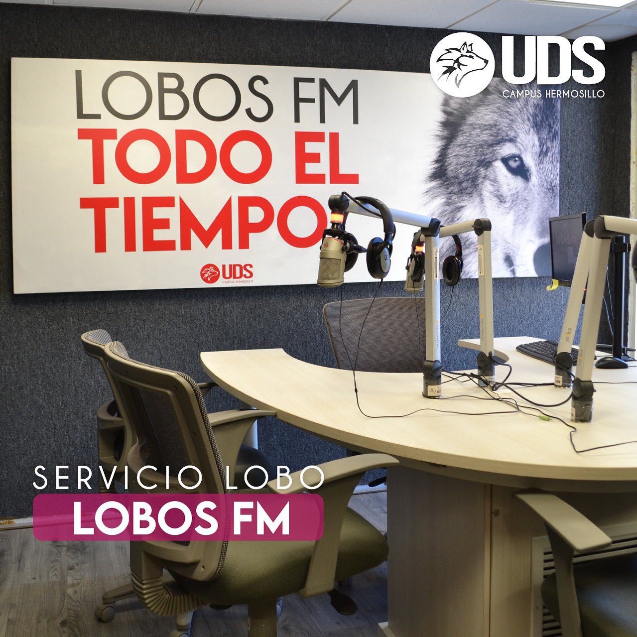 Recolectar 29+ images radio lobo hermosillo Viaterra.mx