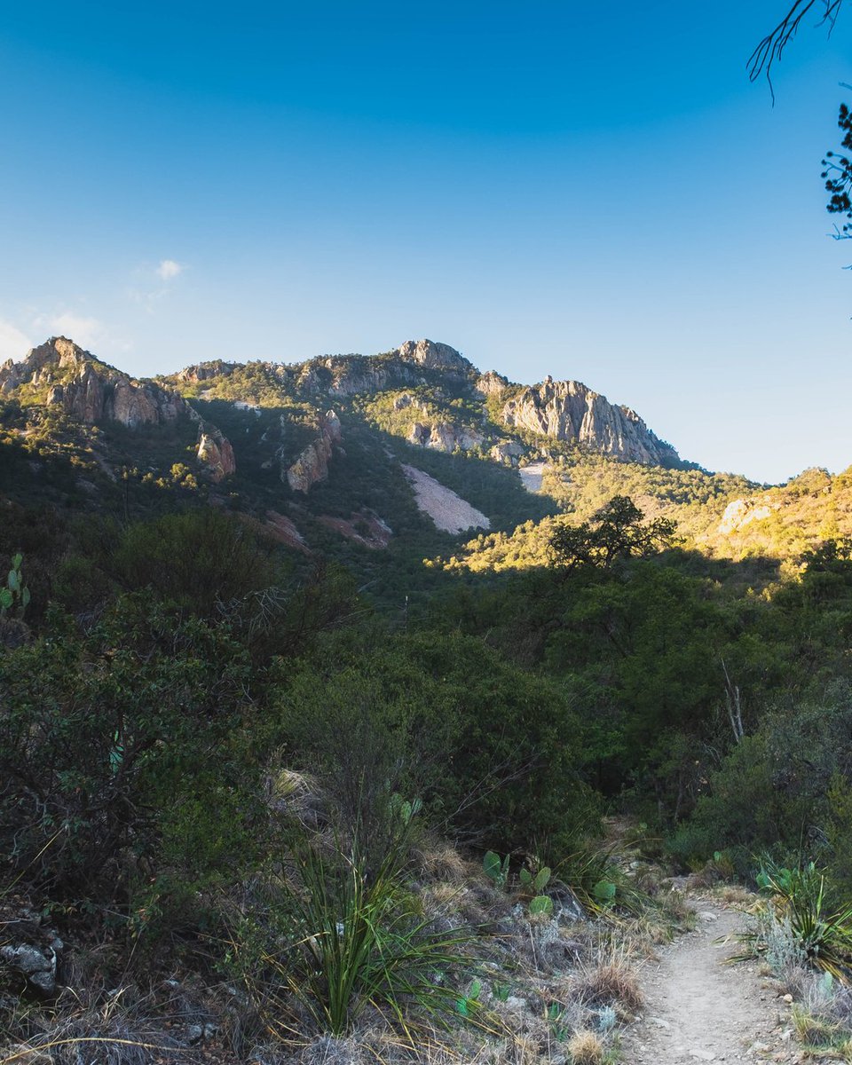 The start of my big bend hike, it's extremely beautiful starting of the hike with a fresh feeling. There's a cool wind early in the morning with plenty of shade to cover you from the sun.⠀⠀⠀⠀⠀⠀⠀⠀⠀
#agameoftones #exploremore #visualsoflife #optoutside #roamthepla