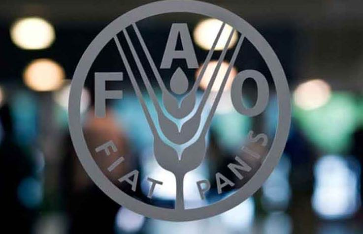 almayadeen_es's tweet photo. FAO: Conflictos son los causantes de inseguridad alimentaria en el mundo https://t.co/AoUR9RtZuE #Alimentos #FAO #ONU #geopolitica #FAOClimate https://t.co/BvgrqNLM9c