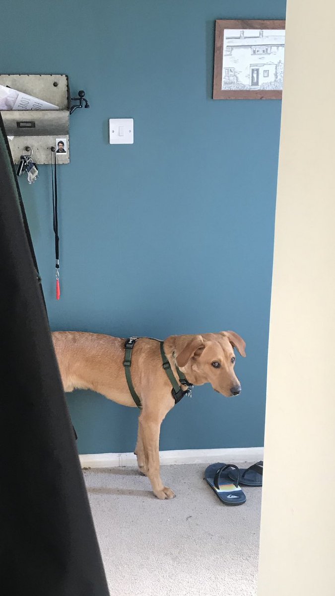 When you take too long to make your evening walk beverages.