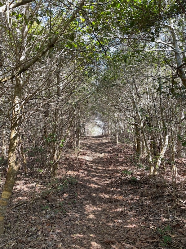 Think about going out on the town and leaving the car at home. Wed.6/16, 4 p.m., the final webinar in EH Town’s sustainable transportation series will feature our 200+ miles of trails and other routes for strolling, shopping, and dining. Register: energizeeh.org/outreach-event…