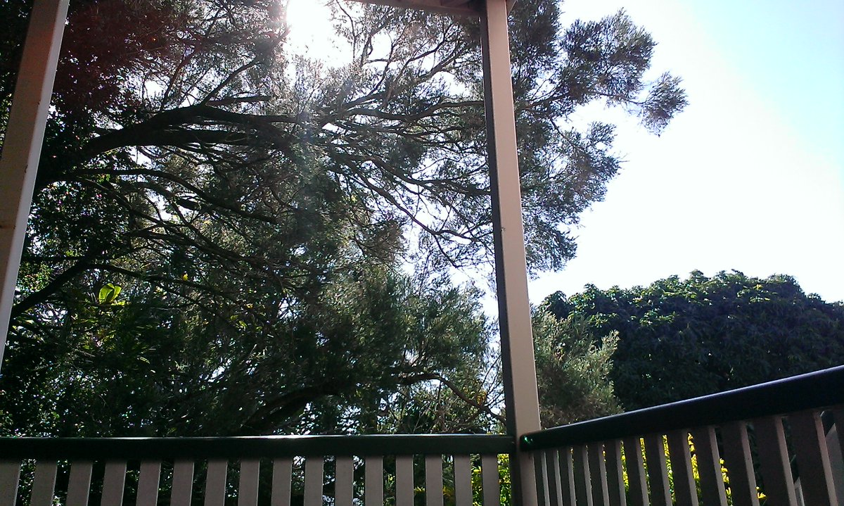 Evelyne Deplazes tweet media