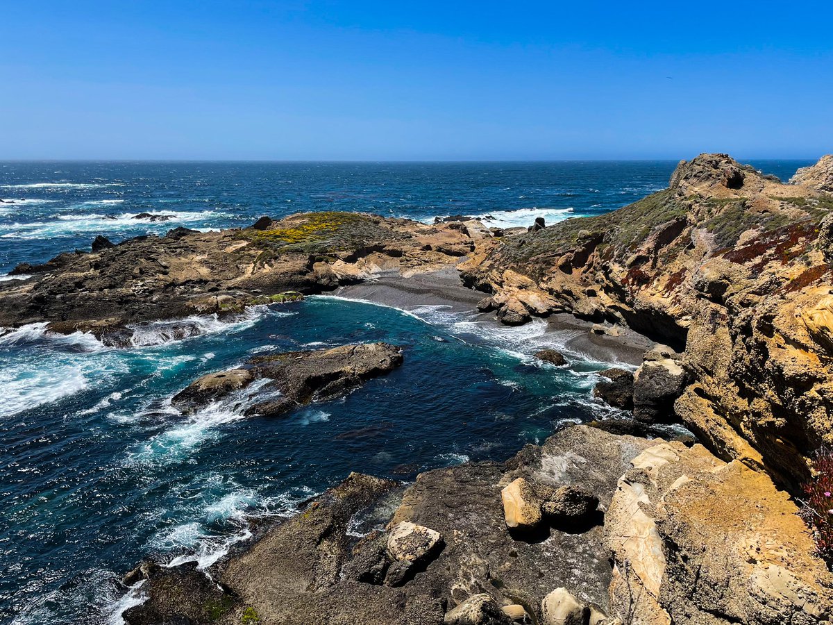 Point Lobos…sigh 💕 #PointLobos