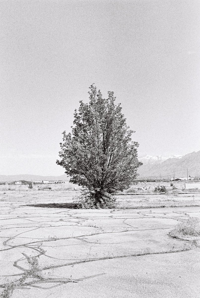 The last roll of #ilfordhp5 #FilmTwitter