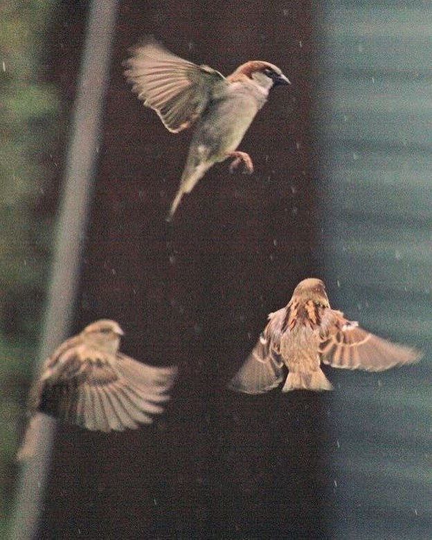 Archillect (@archillect) on Twitter photo 