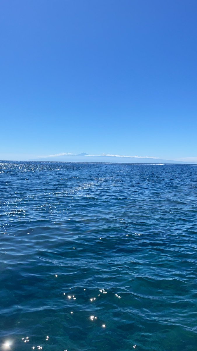 NataliaMooreno's tweet photo. El mar siempre es felicidad💙 https://t.co/mGJxtXnJIc