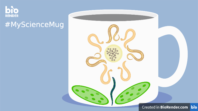ahwell's tweet photo. #MyScienceMug  @BioRender https://t.co/FwRnxxmiPg