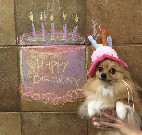  Happy Birthday, Eileen   