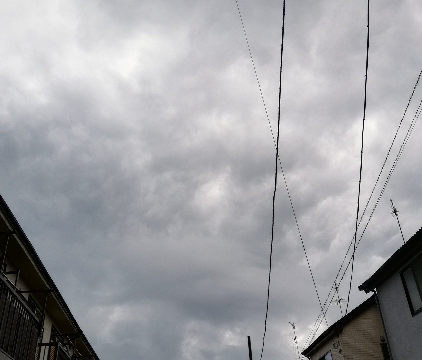 とよぽん777 朝帰り 早朝の梅雨の空を見て想う そっちの世界で 元気にしていますか ちゃんと笑っていますか いつか出逢える日まで まだまだ頑張って 生きていこうと思います なんてね 眠い 元気ですかー Road タイムリープしてみたい T