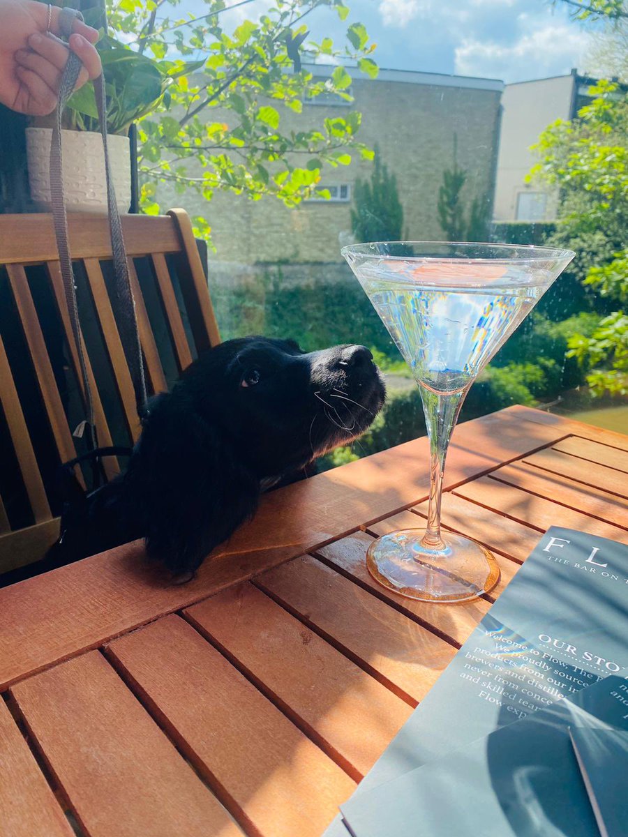 FlowBarsSW's tweet image. WARNING - gratuitous use of cute puppy to get your attention. #sorrynotsorry 

We are The Bar On The Bridge, and we make excellent cocktails. Also dog friendly. 🐾 

#flowbarfrome 
#thebaronthebridge 
#frome