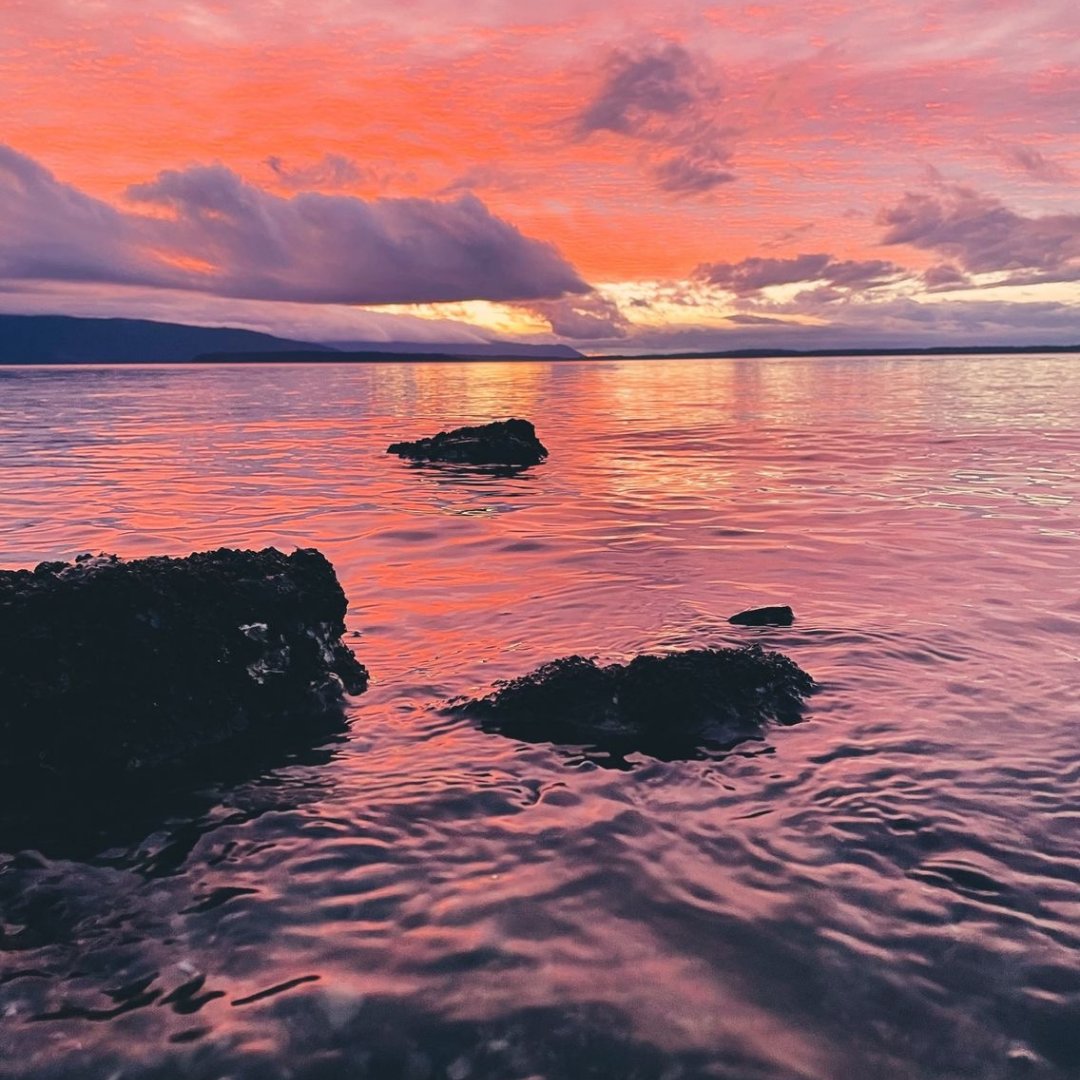 Team Margaret Dawson tweet media