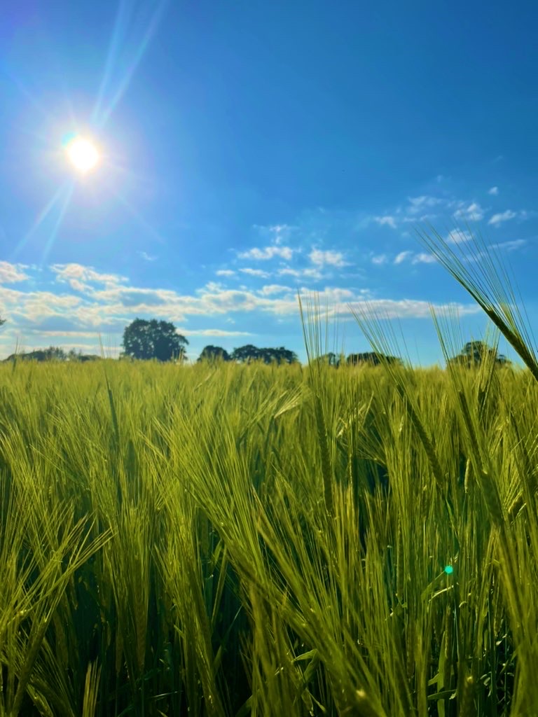 FarmSafetyHour's tweet photo. #FarmSafetyHour a slight change of topic but we'd love to know what your favourite part of being involved in #farming is? For us it has to be the scenery &amp; meeting so many amazing people! #FarmingTwitter #CultivateChange https://t.co/bG5MqvleN8