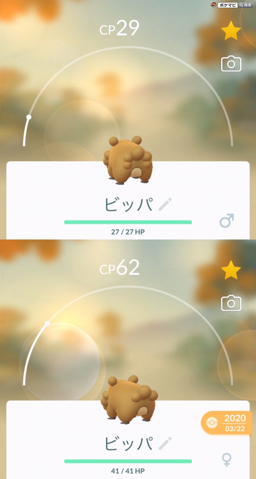 ポケモンgo攻略情報 ポケマピ 在 Twitter 上 ビッパ が大量発生 期間 日本時間21 6 25 朝10時 7 1 夜時まで ポケモンgoの世界に 色違いの ビッパ が初登場します オスとメスの姿には違いがあります ビッパ はしっぽの形 後ろ姿で確認