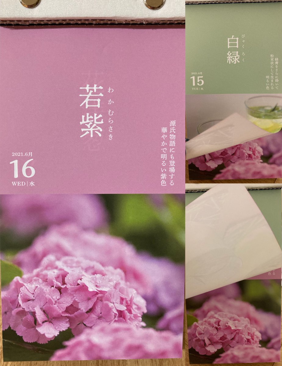 白石涼子 Twitter画像 タレントボックス