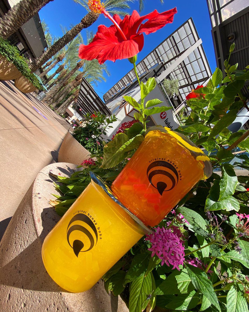 mybubblebeehive's tweet photo. Stop and smell the πΊπ―π
.
Available through carry out and delivery through UberEats, GrubHub, DoorDash and Postmates from SanTan Village, AZ Mills & Scottsdale Quarter.
.
#mybubblebee #bubbletea #boba #organic #honey #honeyboba #arizonafood #foodie #eatlocal #scottsdale https://t.co/n1Q49WhtSP