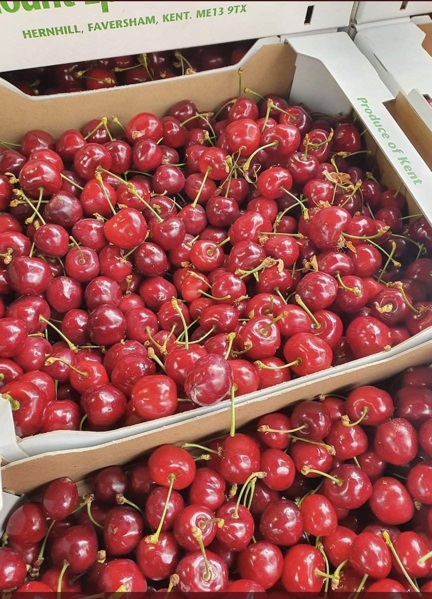 Petersproduce's tweet photo. The very first Kent cherries will be avaliable tomorrow morning! Shop instore or online at https://t.co/kqGVMwHUqk Free local delivery #faversham #cherry #freedelivery #Kentishproduce #hernebay #whitstable #canterbury #eattheseasons #localproduce #shoplocal https://t.co/ToPyDVyrwX