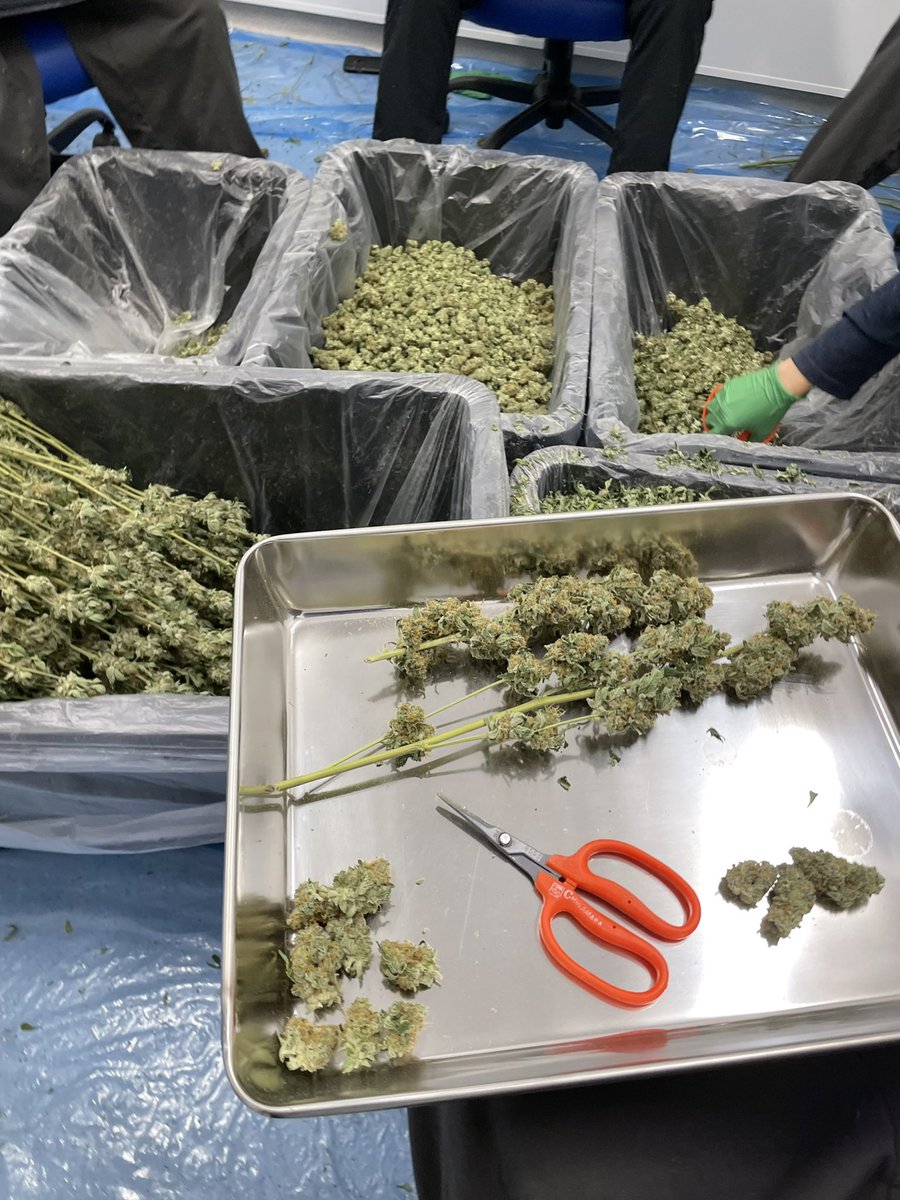 Trim trim trim. Craft/Micro/whateveryouwannacallit - 6 awesome peeps in a circle sharing stories and flowing into crazy trim talks. Oh - and everyone makes a living wage.