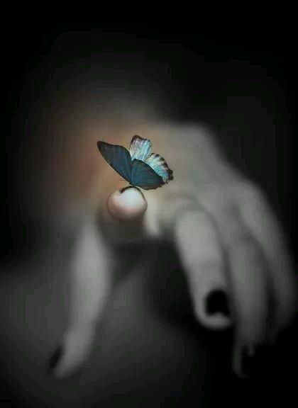 mar_de_sirena's tweet photo. @RosaTrunk @louzival2011 @somnath456 @VelvetSkye @MrsMeenaKumari @malaradnik @PattiBrookd @LisaTruthJohns @RiverOfDeceit30 @mmshobha @Yuvraj_kt @taherehch @Edward733 @srone82 @AnneEventsCo @shinunao2 @Gnanase34995362 @kailashcsharma @robtropper @wjy7k1 @sminaev2015 @fryld @rosmarie1291 @angelicagallegs @Mariezr4M @LiliBodo @corriesmit1960 @DivMeta @DOXAgr @DanielaChirico @_get_a_klu_ @Haya13121 @Silau25 @jet_new @Cathhewat123 @aria_sio 🙏
Gratidão💓Rosa🌹!
#Kindness is #Love in #Action💓 
 
#Health Y #Peace🌏🌍🌎#Worlds!
Lightness and #Harmony🦋🙏

WE Feed #Growth, not greed;
#EcoNOTEgo🌳#PlantATree!
#NatureConnection🦋#HealthyConnection

#Union🌎🌍🌏#Worlds!
#UnionIsHealth💓#BreathePeace

#Dance🌻🕯️
#Bach🎵Air https://t.co/NZwqv3ET6L