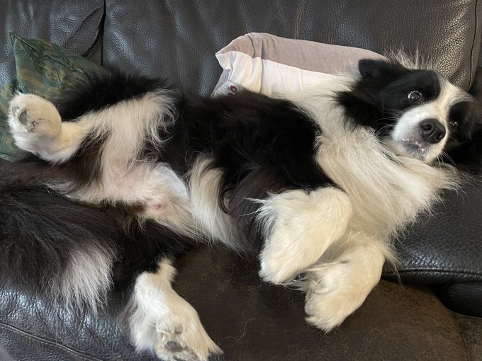 ルーさんのtwitterイラスト検索結果 古い順