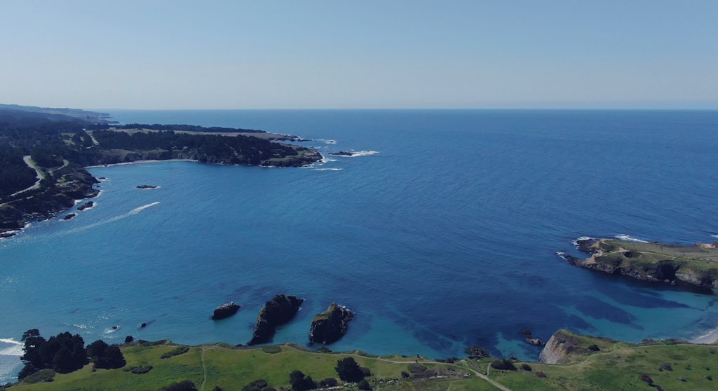 Happy Nature Photography Day ✨ 📷

#MCHFoundation #Winesong #WinesongMendocino #MendocinoCounty #Photography #Nature #Mendocino #MendocinoCoast #FortBraggCA