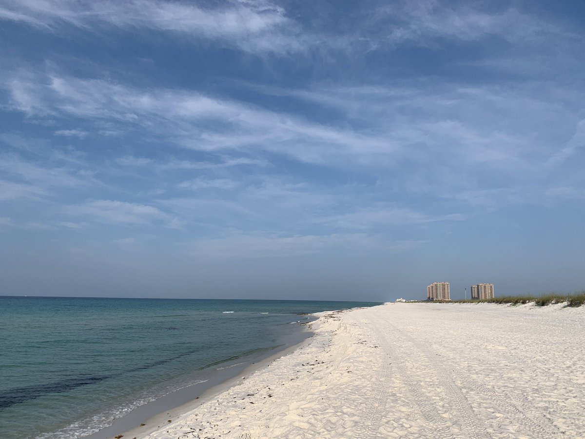 CJ_Hornfeck's tweet photo. Today marks exactly 1 year of eDNA sampling at Pensacola Beach! In that year we have seen a total of 26 sunrises, lots of marine life,and plenty of seabirds. I can’t wait to see what we detect 🦈🧬 #JanosikLab #eDNA https://t.co/0SO9Rv67UW