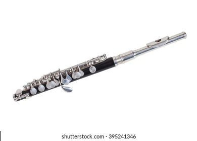 FredrickMurphy2's tweet photo. @theneedledrop Piccolo, so loud and high pitched. Just play the flute https://t.co/PS6aYkwTM7