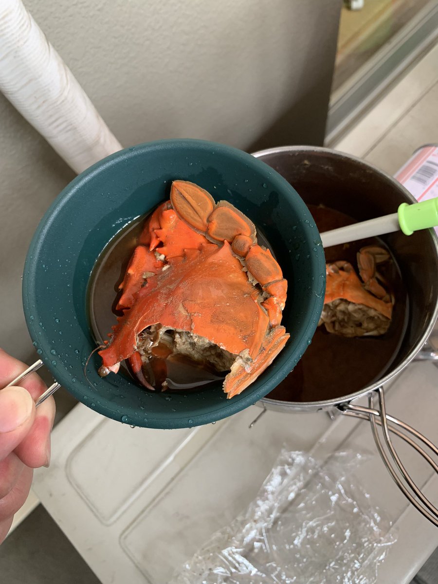 ザフェイス釣り部のtwitterリアルタイム検索結果 Meyou ミーユー