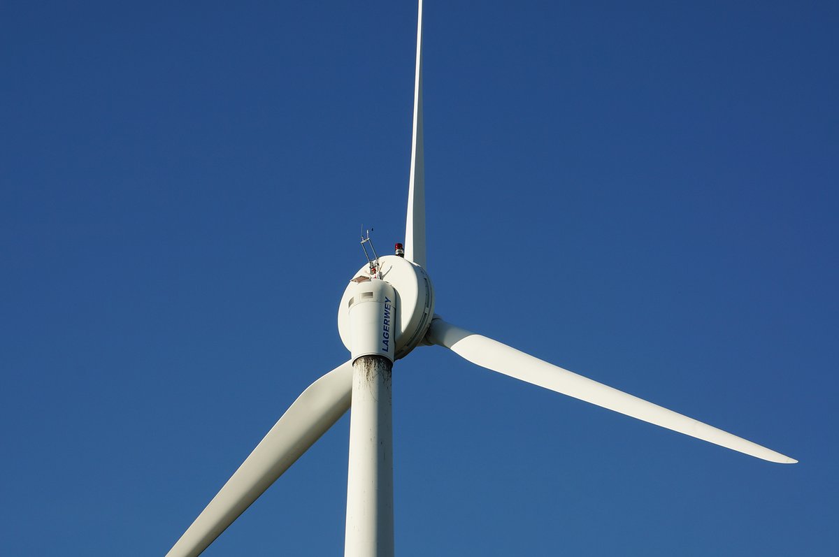 windshare's tweet photo. 🎉 Happy #GlobalWindDay from WindShare! 🍃 https://t.co/t4oKWamIW9