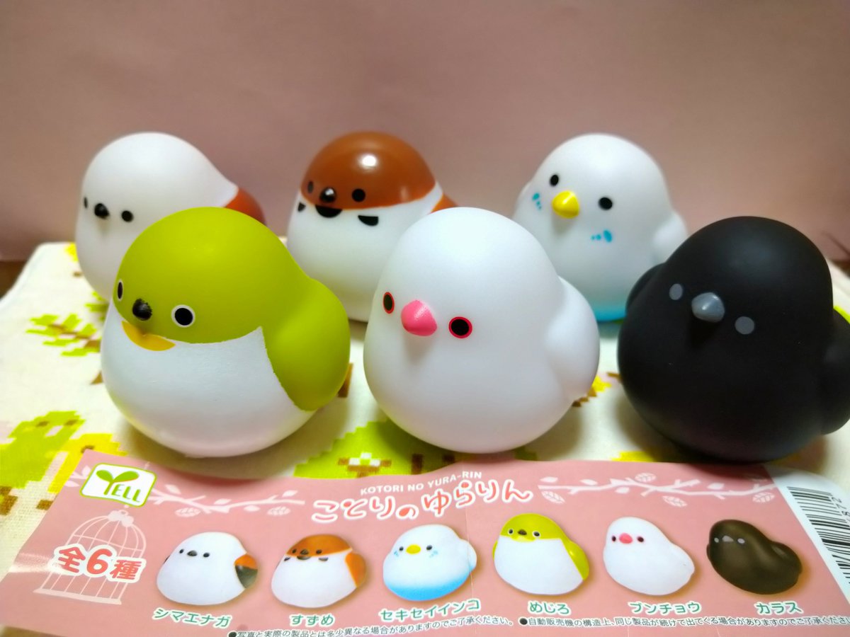 本物保証】 文鳥 カラス ことりのゆらりん savingssafari.com