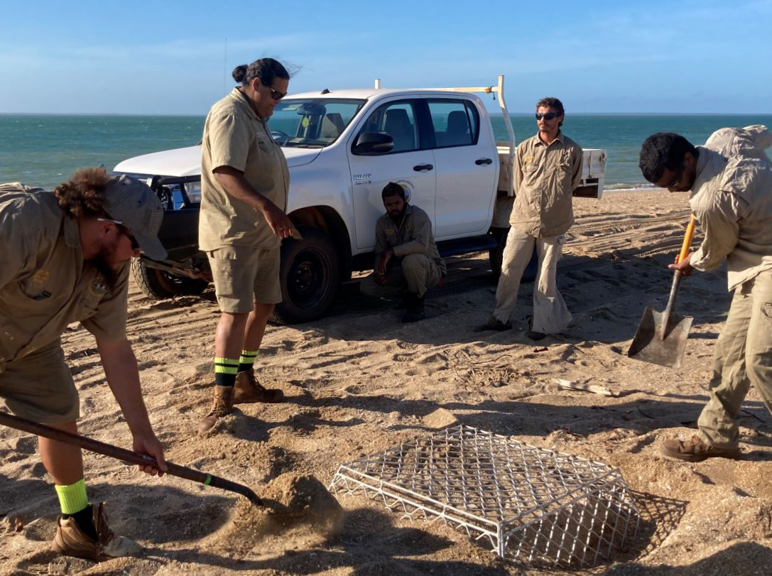 CapeYorkNRM's tweet photo. 16 June is WORLD SEA TURTLE DAY and Ranger groups from western Cape York dedicate themselves to sea turtle conservation & protection where the beaches are important nesting sites for sea turtles, particularly the flatback & olive ridley species @QldEnvironment #WorldSeaTurtleDay https://t.co/H1fseeSo0D