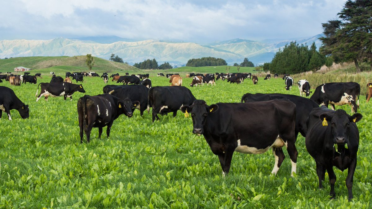 Fertiliser_Assn tweet media