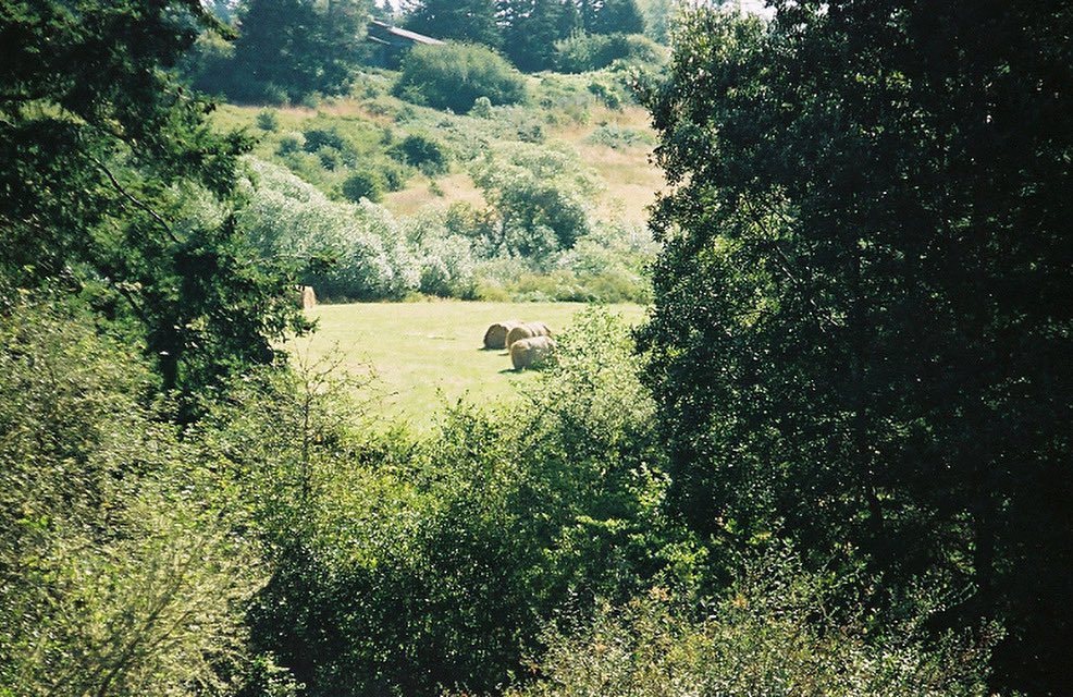 LostRollsAmeric's tweet photo. Have film sitting in a camera or drawer or a box or on a shelf or...you never processed??? Now is your chance to see the images for free and become part of the Lost Rolls America Archive. 

Link in bio.

Image: Anita Barreca, where: my bathroom window, when: a few summers ago https://t.co/Ojf52i6As3