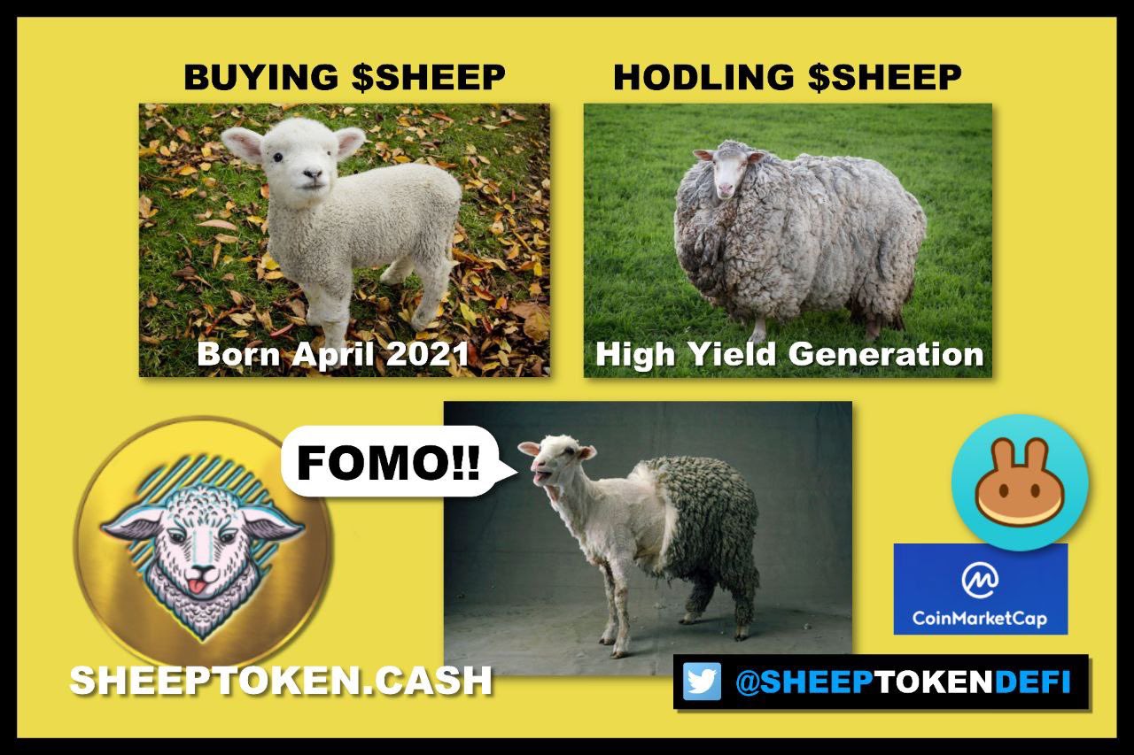 Top 177+ Animals whose hair is used as wool