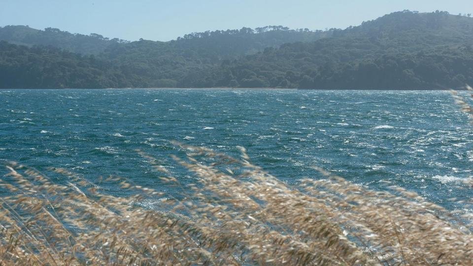 UC Davis Bodega Marine Laboratory tweet media