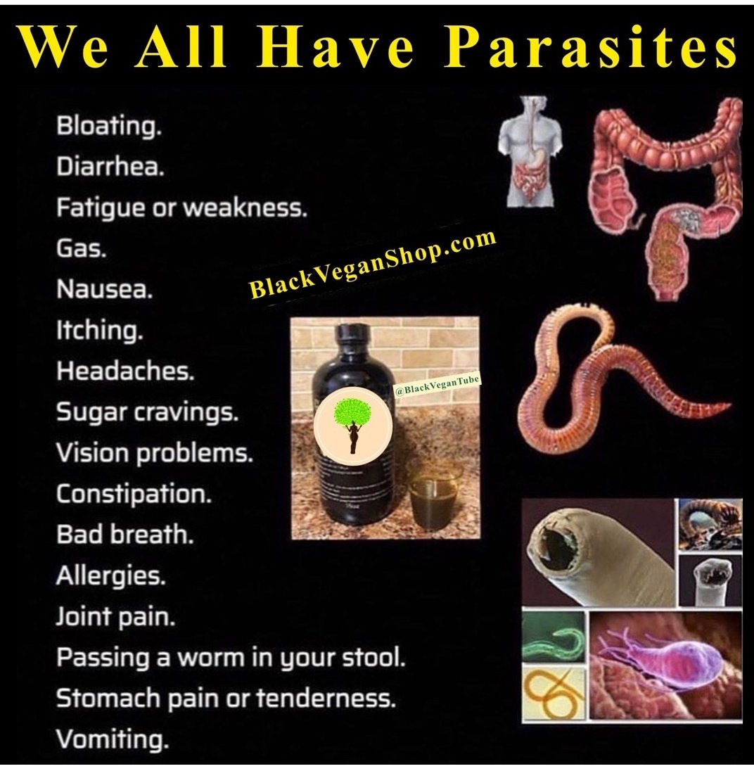 v3rywis3's tweet photo. We all have #parasites . Let's get rid of them https://t.co/79OiyYdiMJ #helpishere #herbalistviola #VeryWiseAlternatives https://t.co/rMNdoSEl31