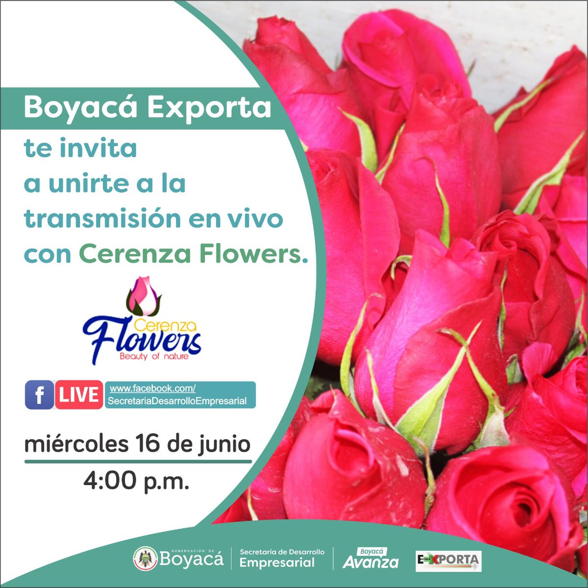 SecDesarrolloEB's tweet photo. Únete al #FbkLive de la @SEmpresarialBoy y @BoyacaExporta. Agustín Dallos, Gerente de #CerenzaFlowers nos hablará de su proceso de exportación y de los beneficios de las herramientas brindadas a través de la sectorial.
📅16 de Junio 
⏰4:00 p.m. 
👉https://t.co/fkPCxsiQGi https://t.co/KMR2358jO2