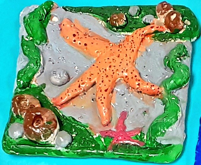 sherman STEAM (@shermansteam) on Twitter photo Gorgeous 5th grade tiles from their study of the #salishsea. Teachers helped students find the many intersections of history, science & art.
<a href="/waOSPI/">WA State OSPI</a> <a href="/TacomaScience/">Tacoma Science</a> <a href="/tacomaschools/">Tacoma Schools</a> <a href="/WAStateLASER/">WaStateLASER</a> <a href="/FossWaterway/">FossWaterwaySeaport</a> #finishstrong Gorgeous 5th grade tiles from their study of the #salishsea. Teachers helped students find the many intersections of history, science & art.
<a href="/waOSPI/">WA State OSPI</a> <a href="/TacomaScience/">Tacoma Science</a> <a href="/tacomaschools/">Tacoma Schools</a> <a href="/WAStateLASER/">WaStateLASER</a> <a href="/FossWaterway/">FossWaterwaySeaport</a> #finishstrong