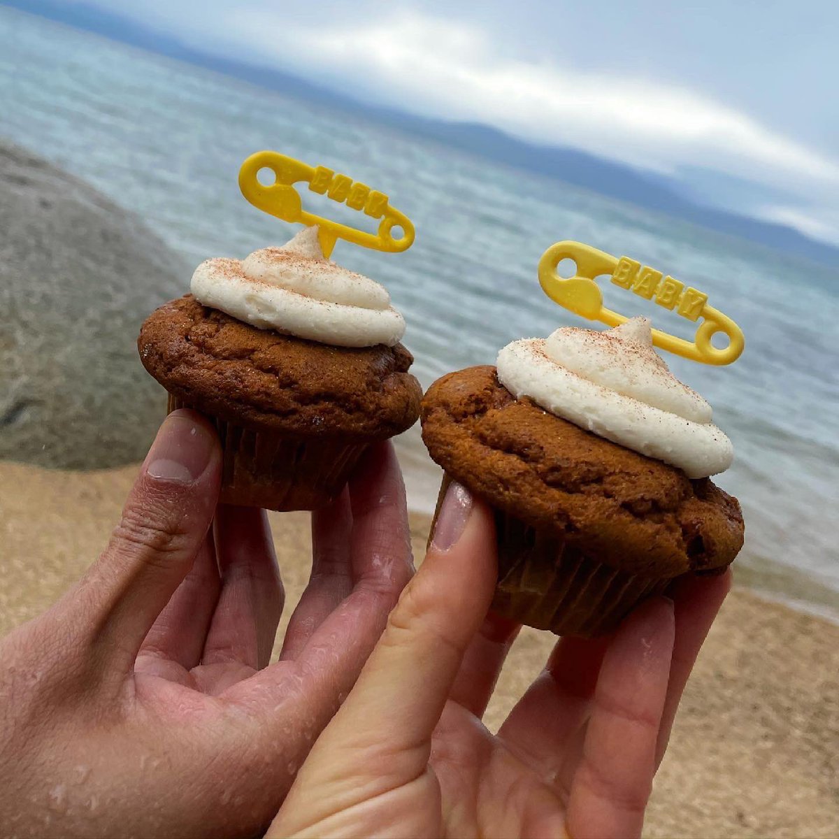 Taylor Winkel tweet media