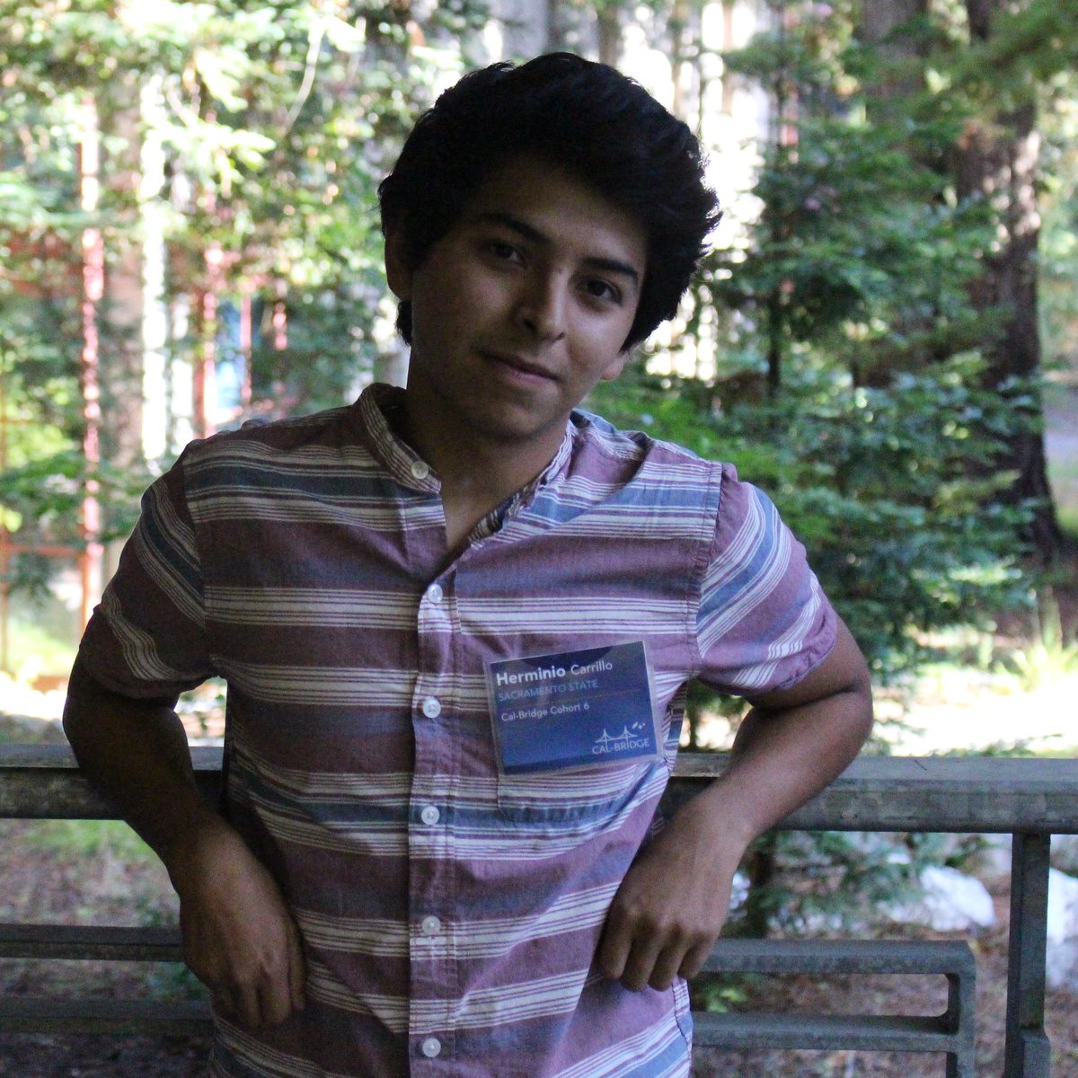 Cal-Bridge Program tweet media