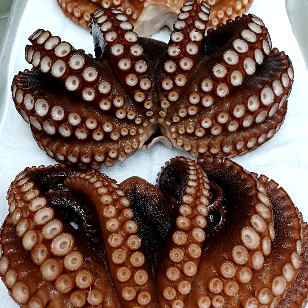 茹でタコ Twitter Search Twitter