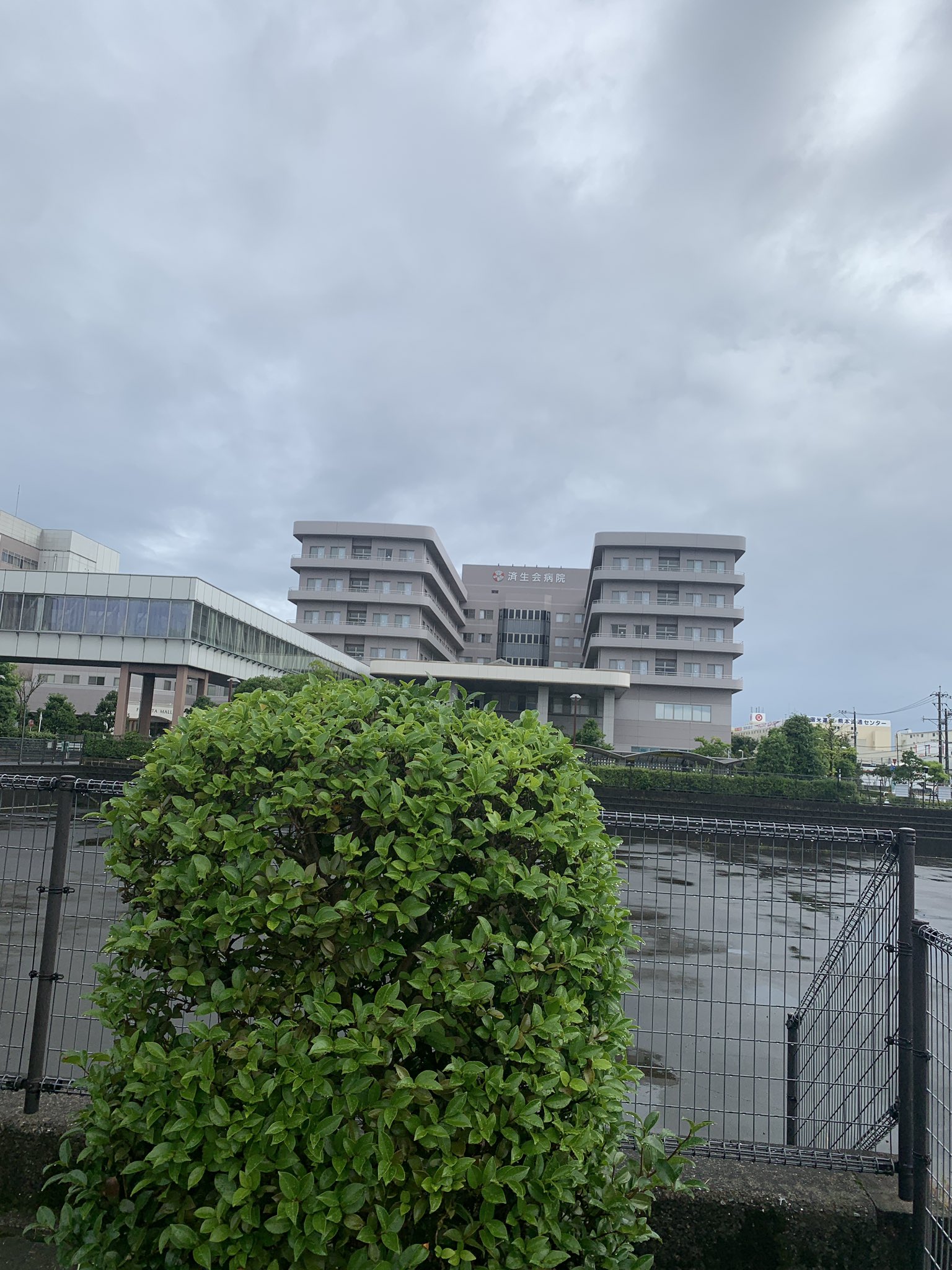 熊本県 道の駅大津スタッフの独り言 天気は 雨が止んで曇ってます 検診です 笑 企業公式夏のフォロー祭り 企業公式が毎朝地元の天気を言い合う 熊本県 大津町 T Co Enpt6op98z Twitter