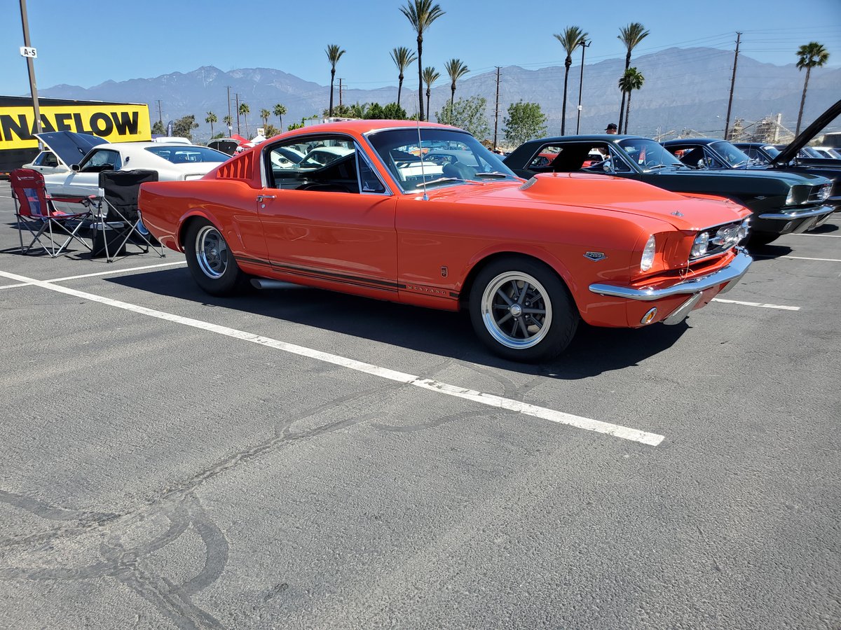youtube.com/watch?v=35aXml… <a href="/FabFordsForever/">FabulousFordsForever</a> #1966Ford #MustangFastback fulled tubbed, Holman Moody look, killer stance, natrually aspirated 12.5 compression, 289 all motor! <a href="/FordMustang/">Ford Mustang</a> <a href="/Ford/">Ford Motor Company</a> <a href="/HolmanMoody/">Holman Moody, Inc.</a> @FordPerformance