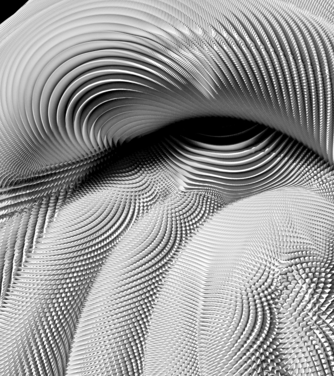 animatttic's tweet photo. Pineal https://t.co/xTr2fuDpw9